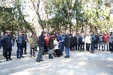 DSC_5733_35.jpg